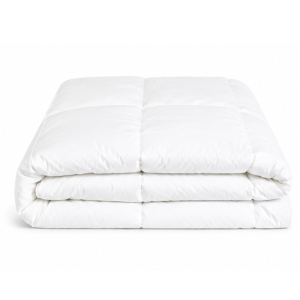 Home pillow (copy)